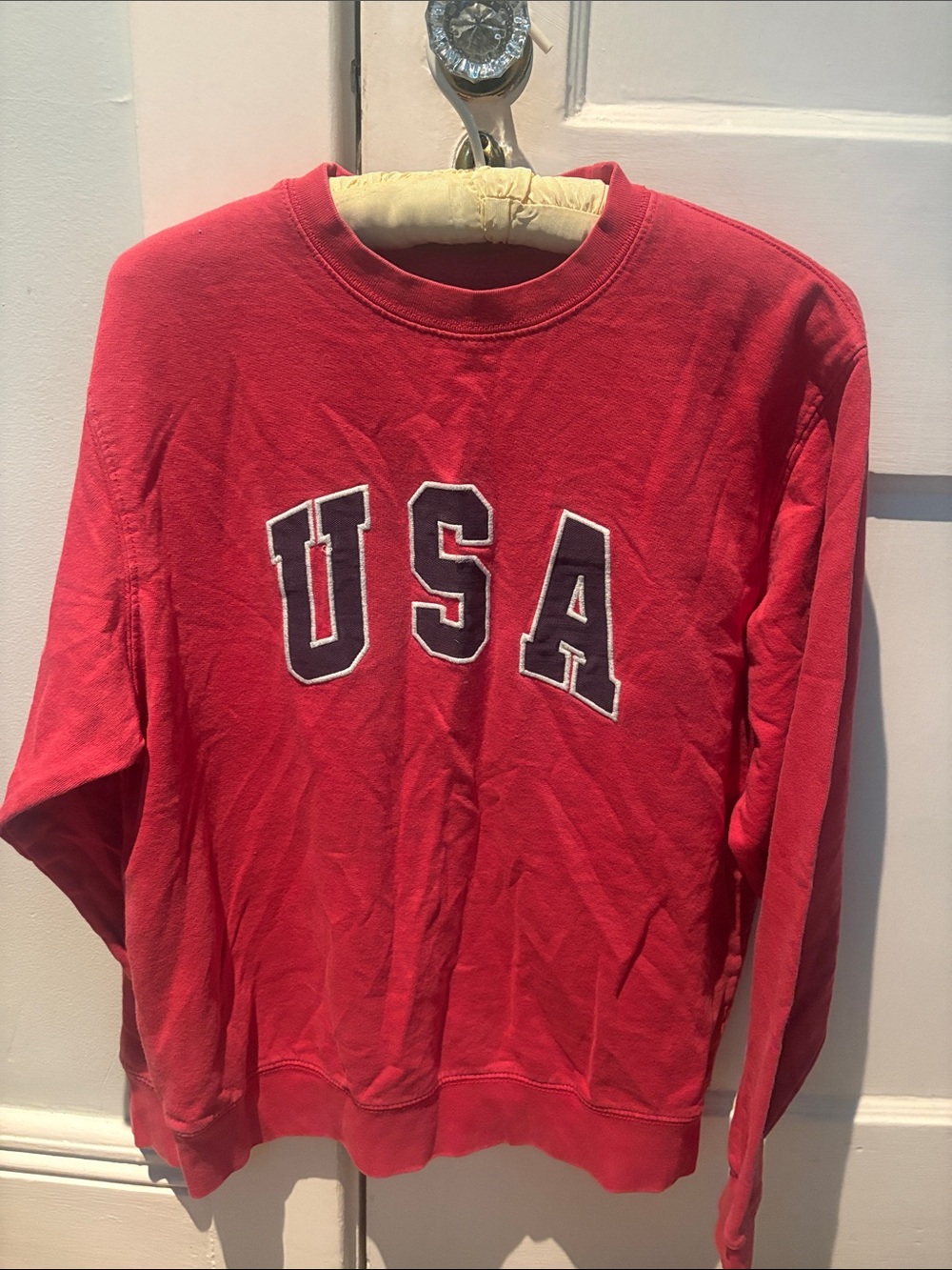 Brandy Melville Red USA Crewneck Sweater